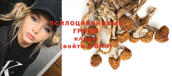 скорость Аркадак