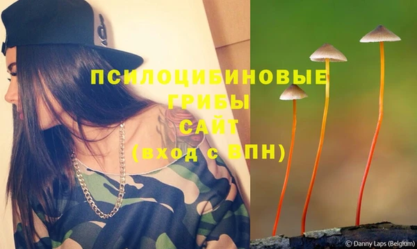 сатива Балабаново
