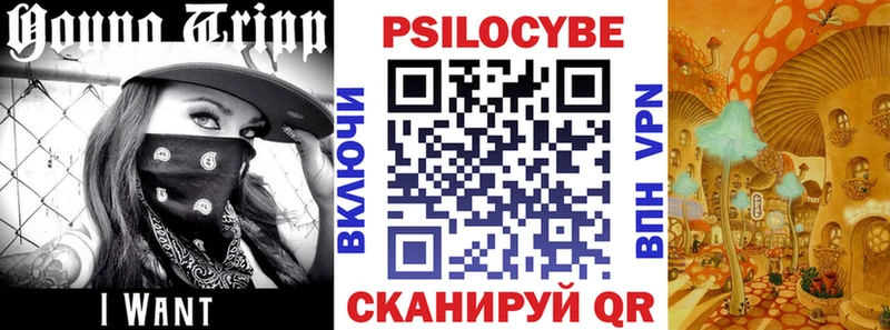 Галлюциногенные грибы GOLDEN TEACHER  Свирск 